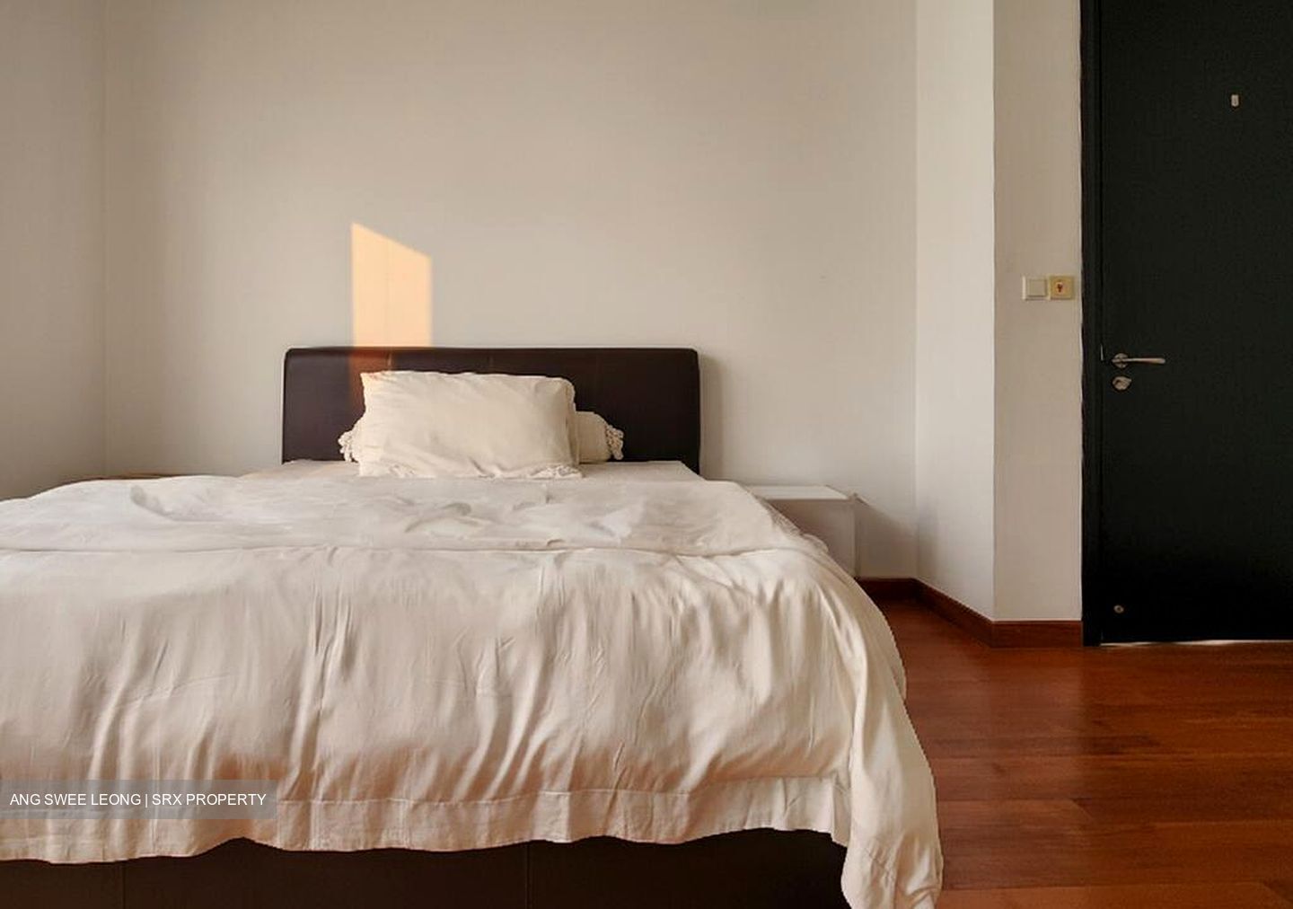 Braddell Heights Estate (D13), Detached #496711441